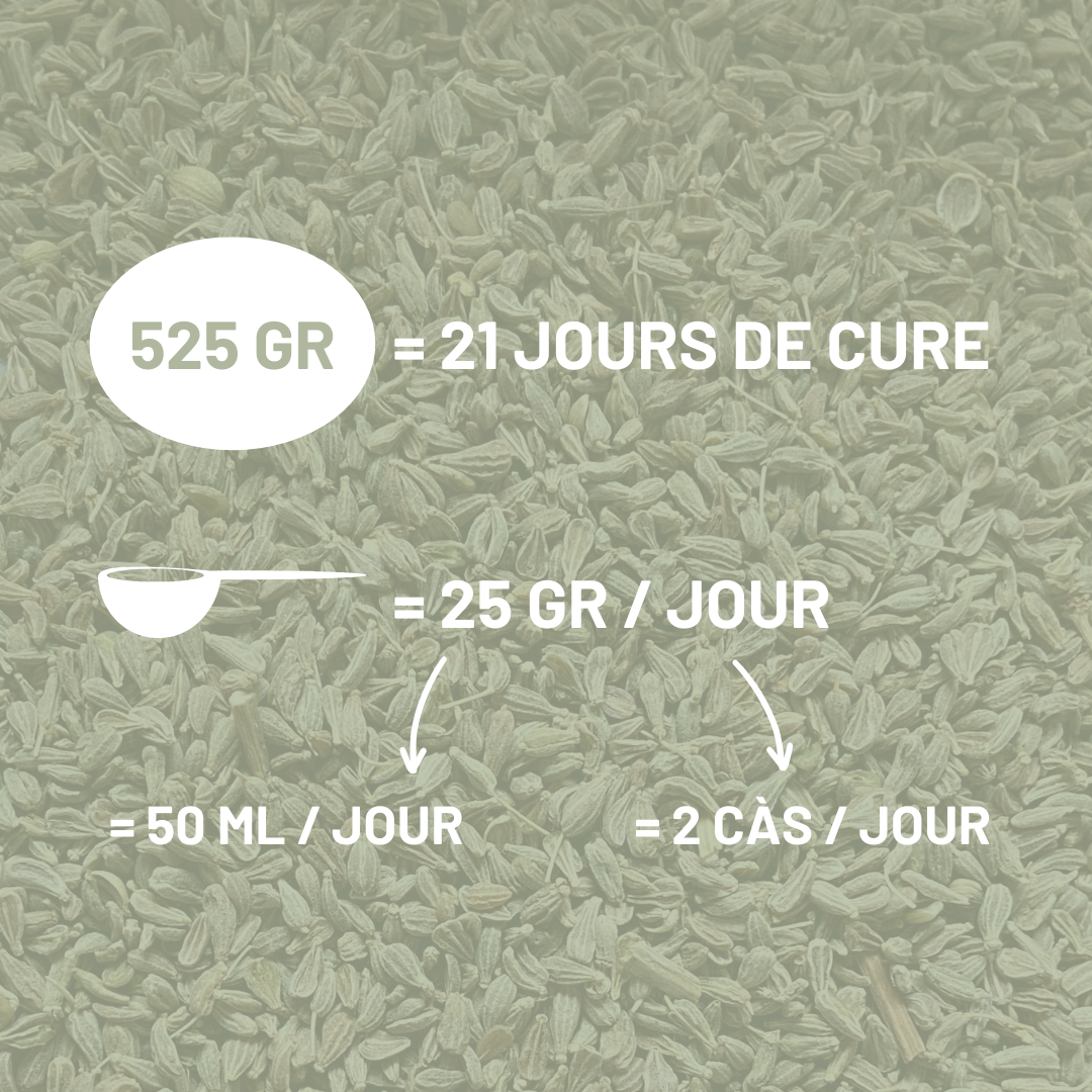 ANIS VERT - Digestion et lactation