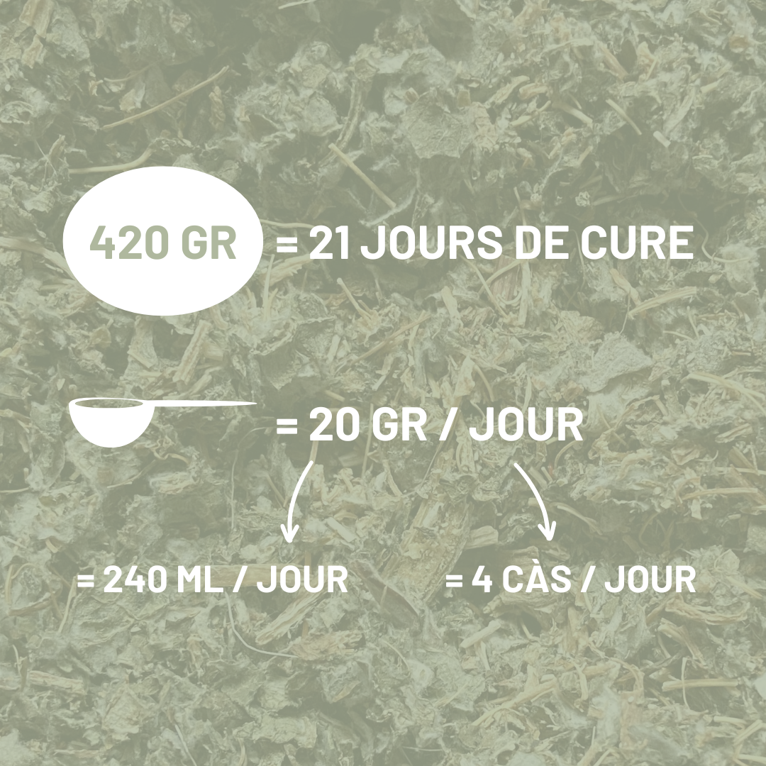 ARTICHAUT - Foie et reins