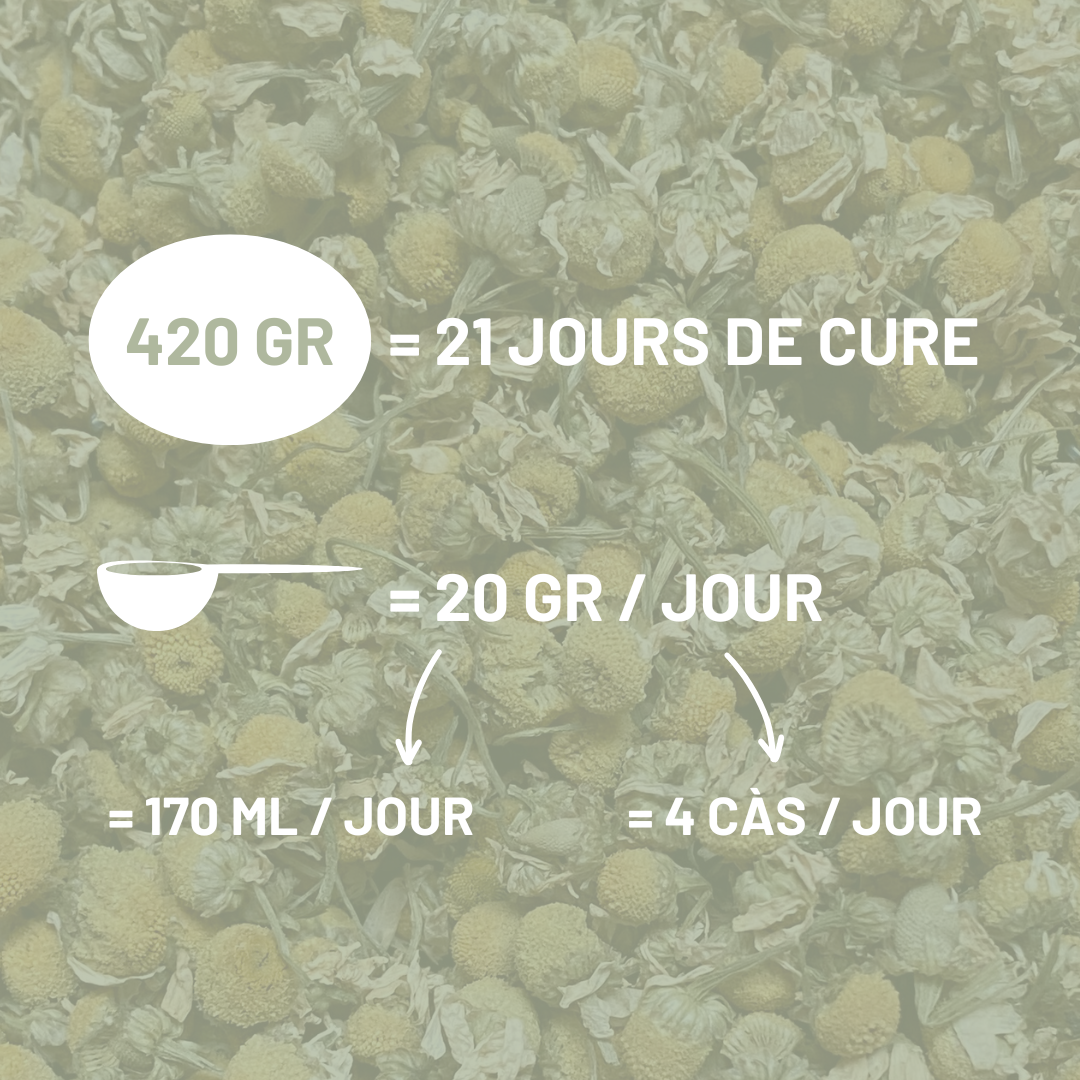 CAMOMILLE MATRICAIRE - Stress et digestion