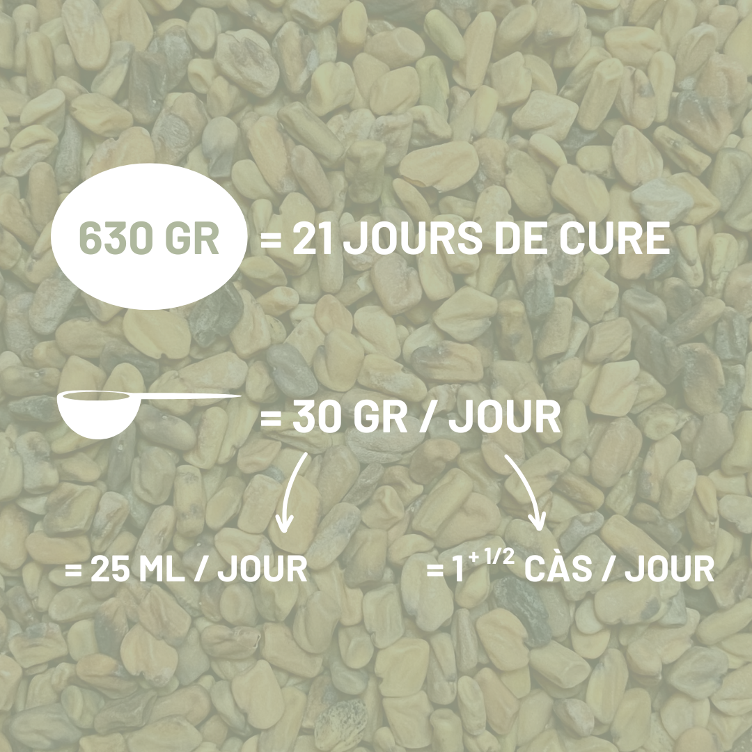 FENUGREC - Prise d'état et muscles