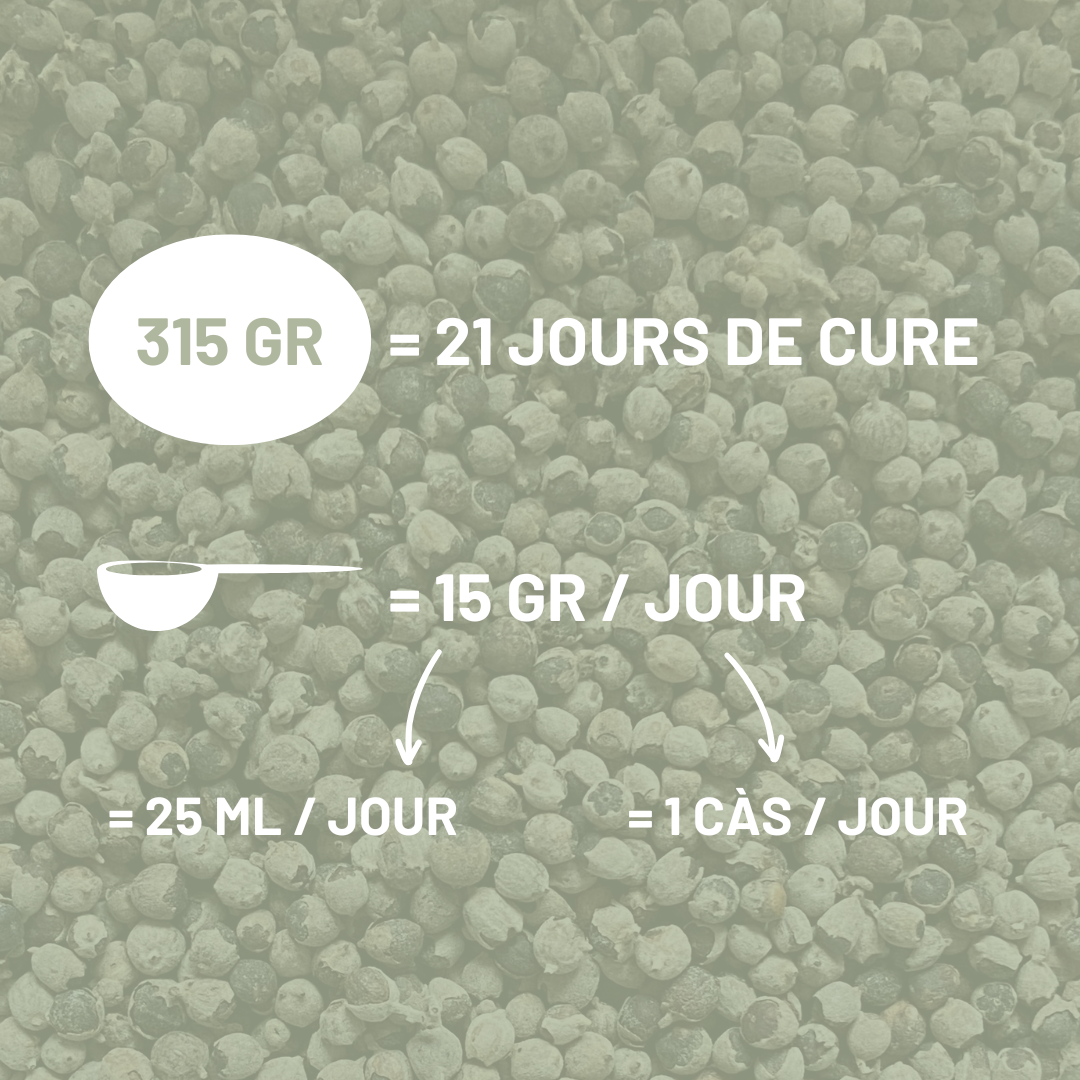 GATTILIER - Hormones