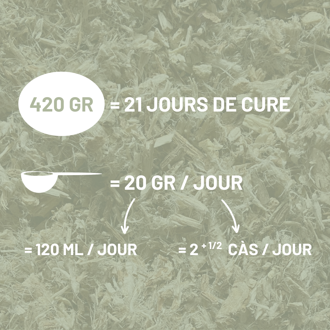 GUIMAUVE - Respiration et digestion