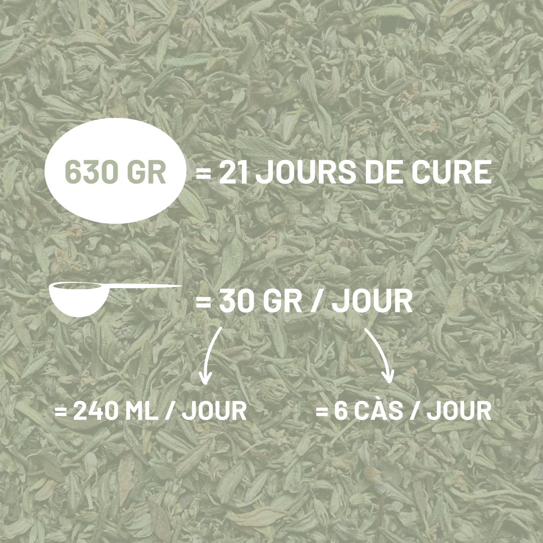 THYM - Respiration et digestion