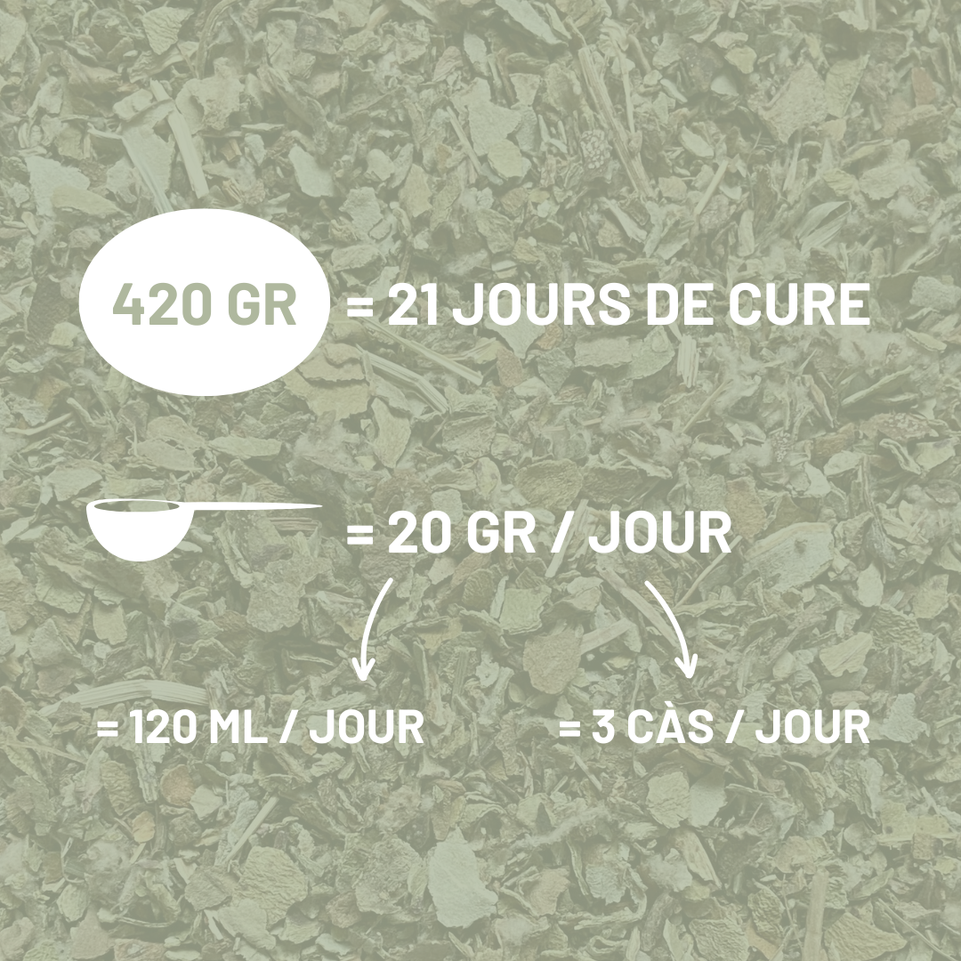 TUSSILAGE - Respiration