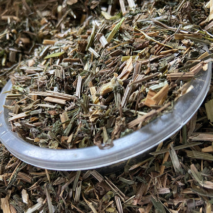 GAILLET-GRATTERON - Engorgements et démangeaisons