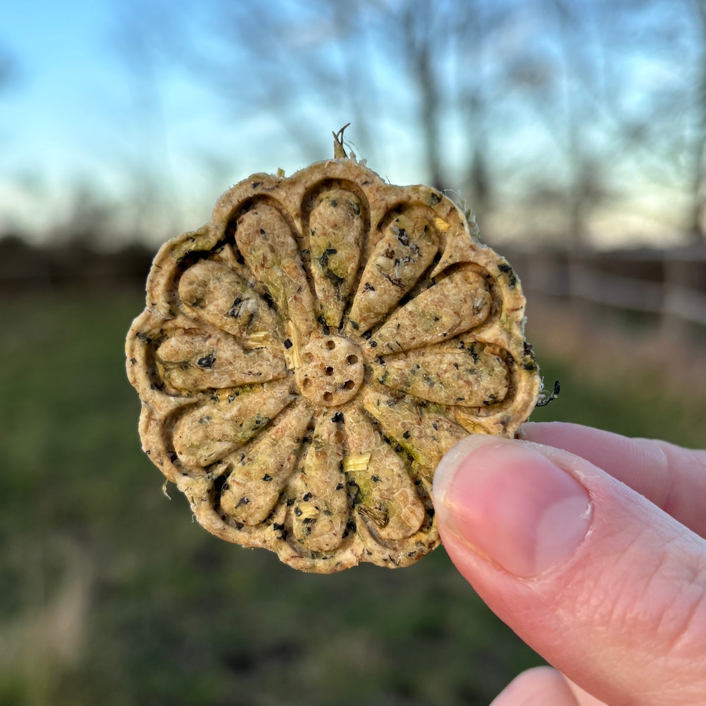 EKI'CROC | Articulations - Ortie