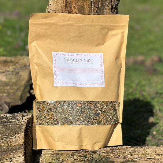 Muscles MIX | Soutien musculaire et tendineux