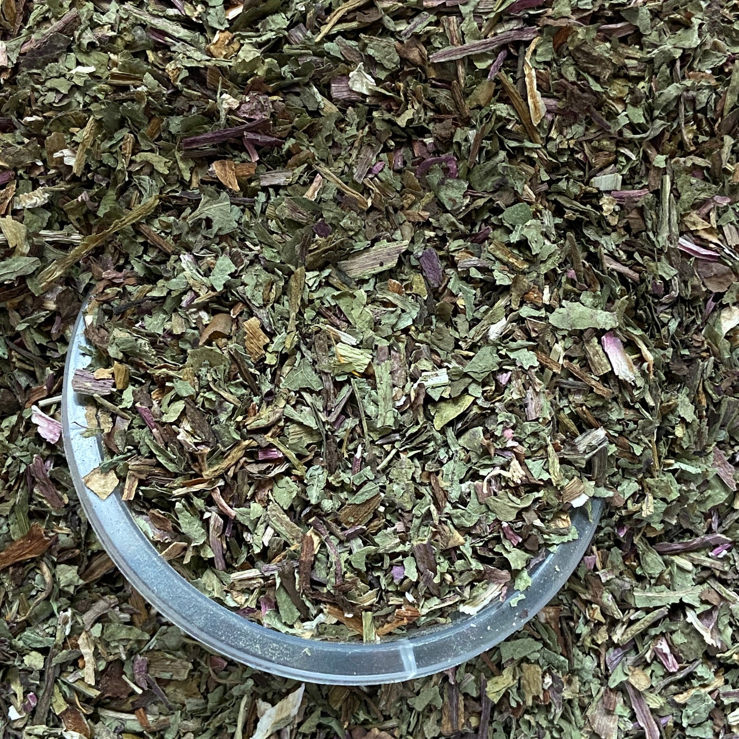 PISSENLIT - Foie et reins