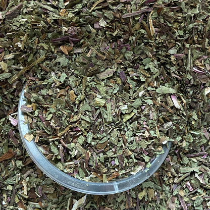 PISSENLIT - Foie et reins