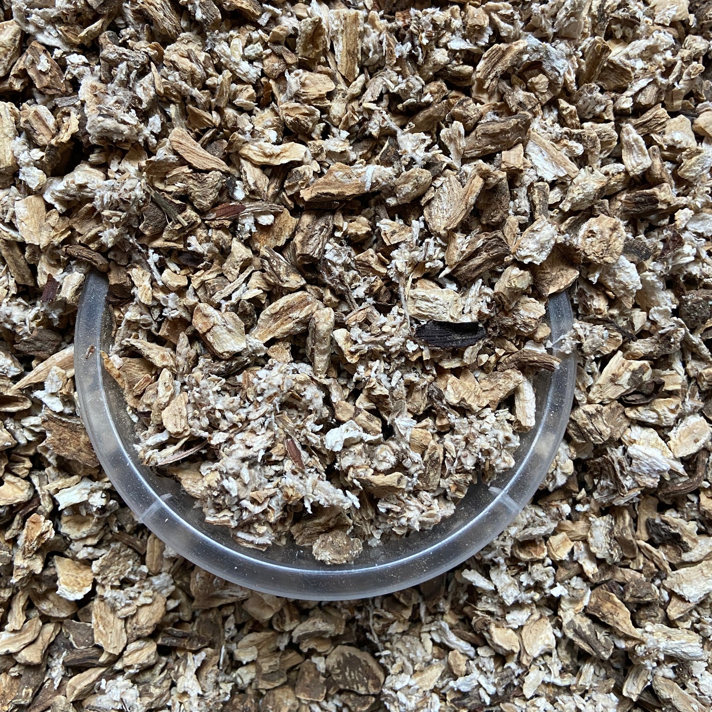 BARDANE - Démangeaisons