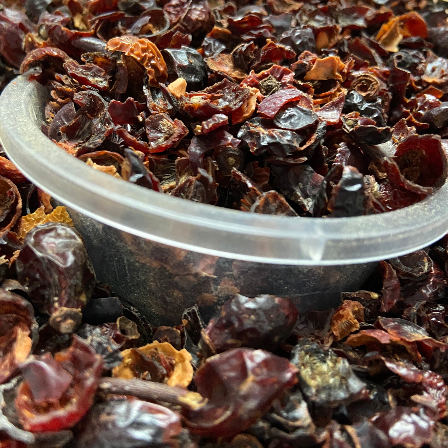 CYNORRHODON - Immunité