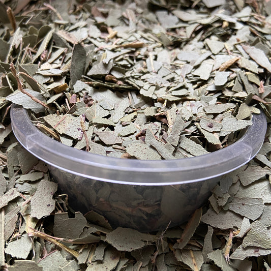 EUCALYPTUS - Respiration