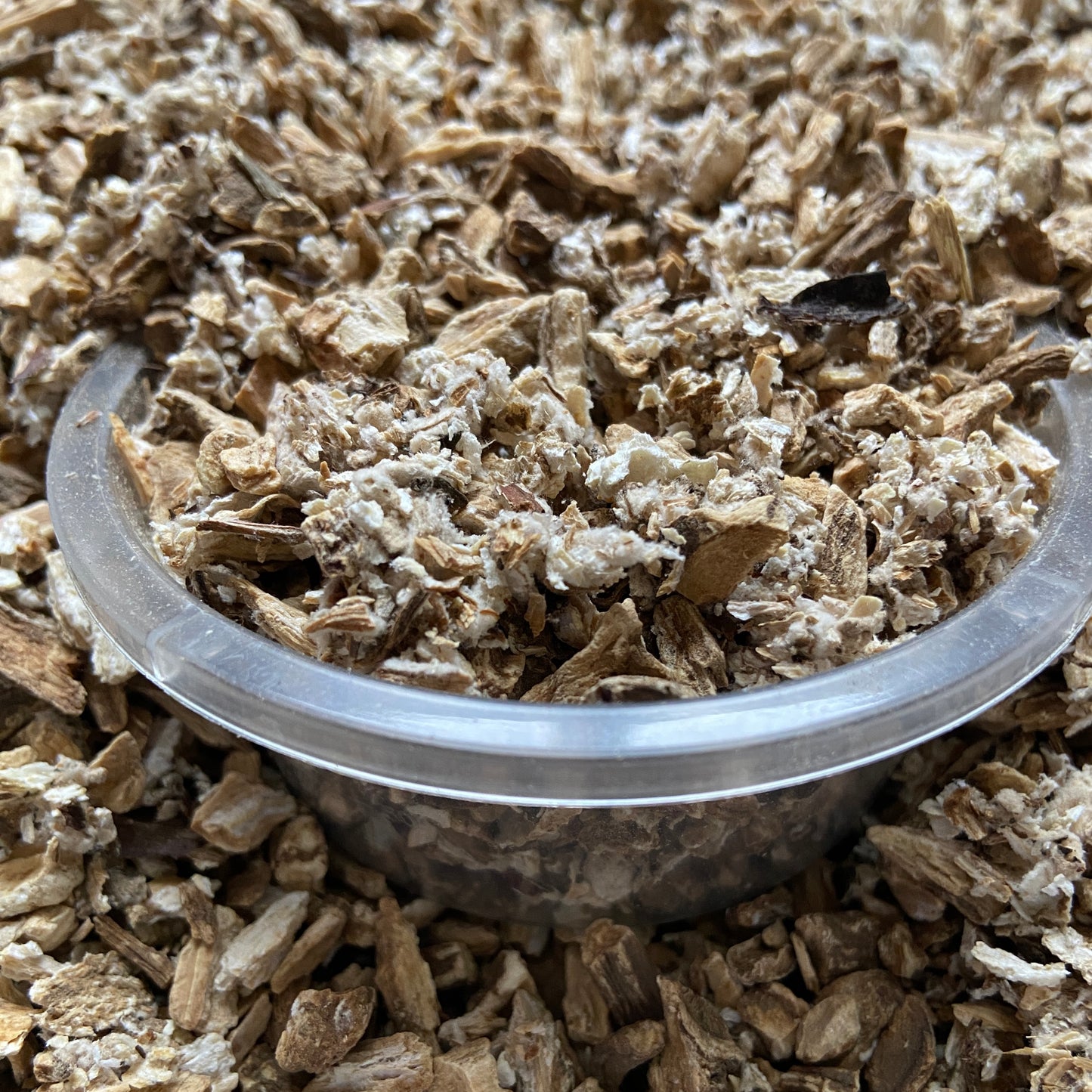 BARDANE - Démangeaisons