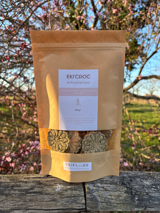 EKI'CROC | Articulations - Ortie