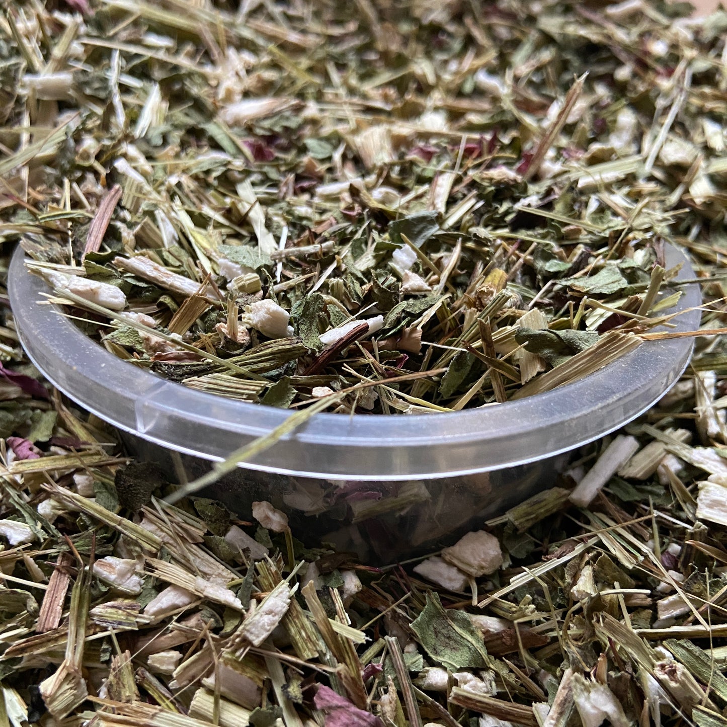 ECHINACEE - Immunité et respiration