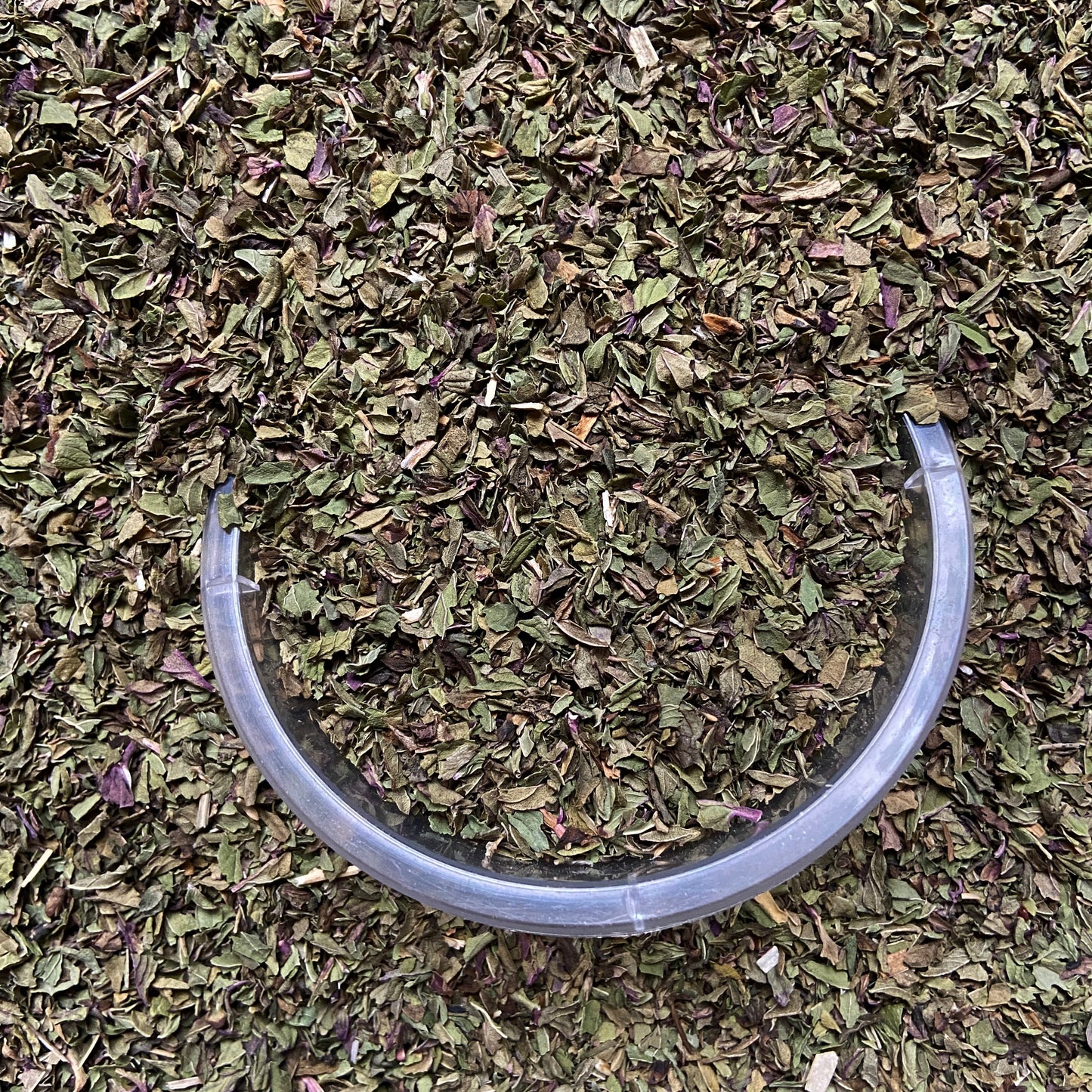 MENTHE POIVREE - Digestion