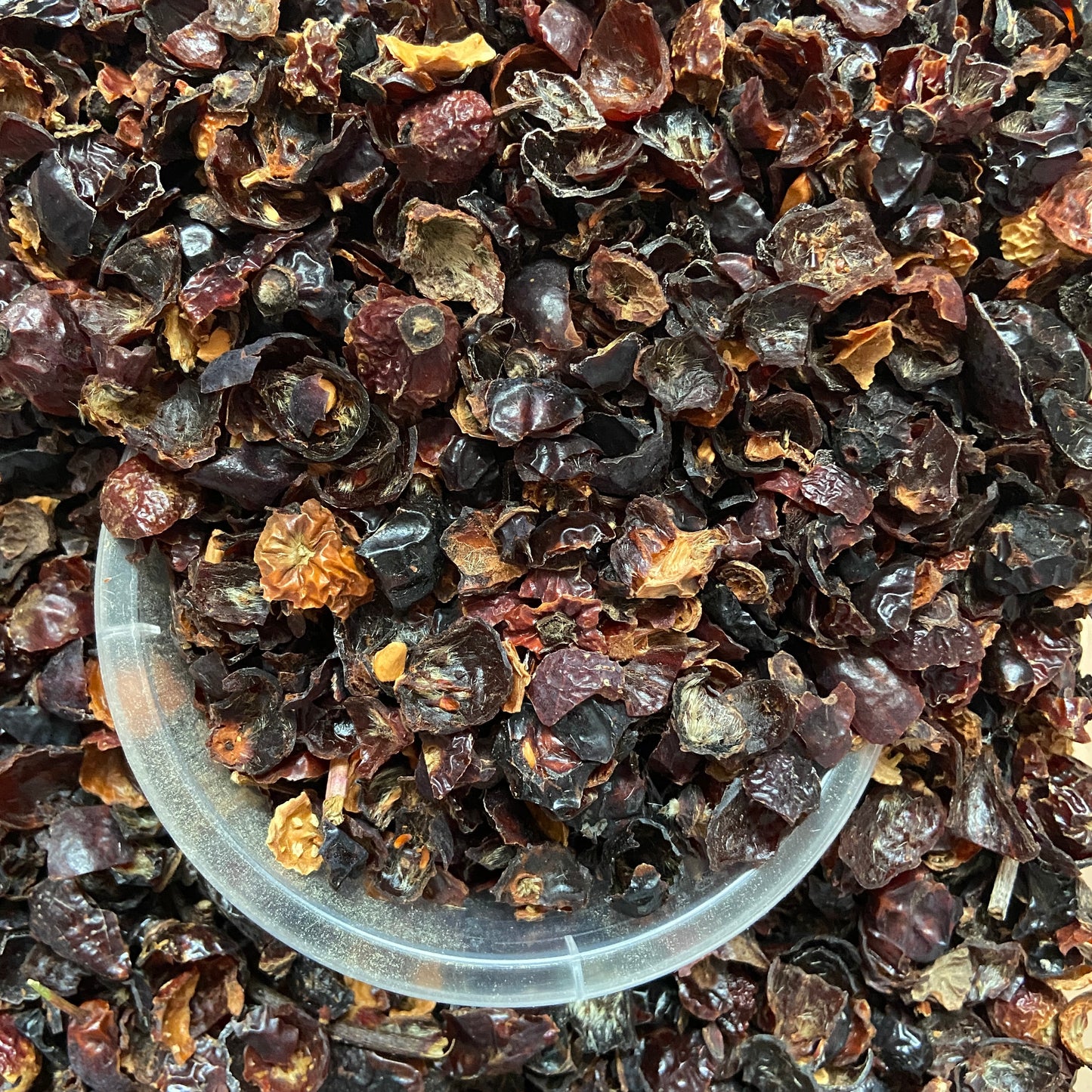 CYNORRHODON - Immunité