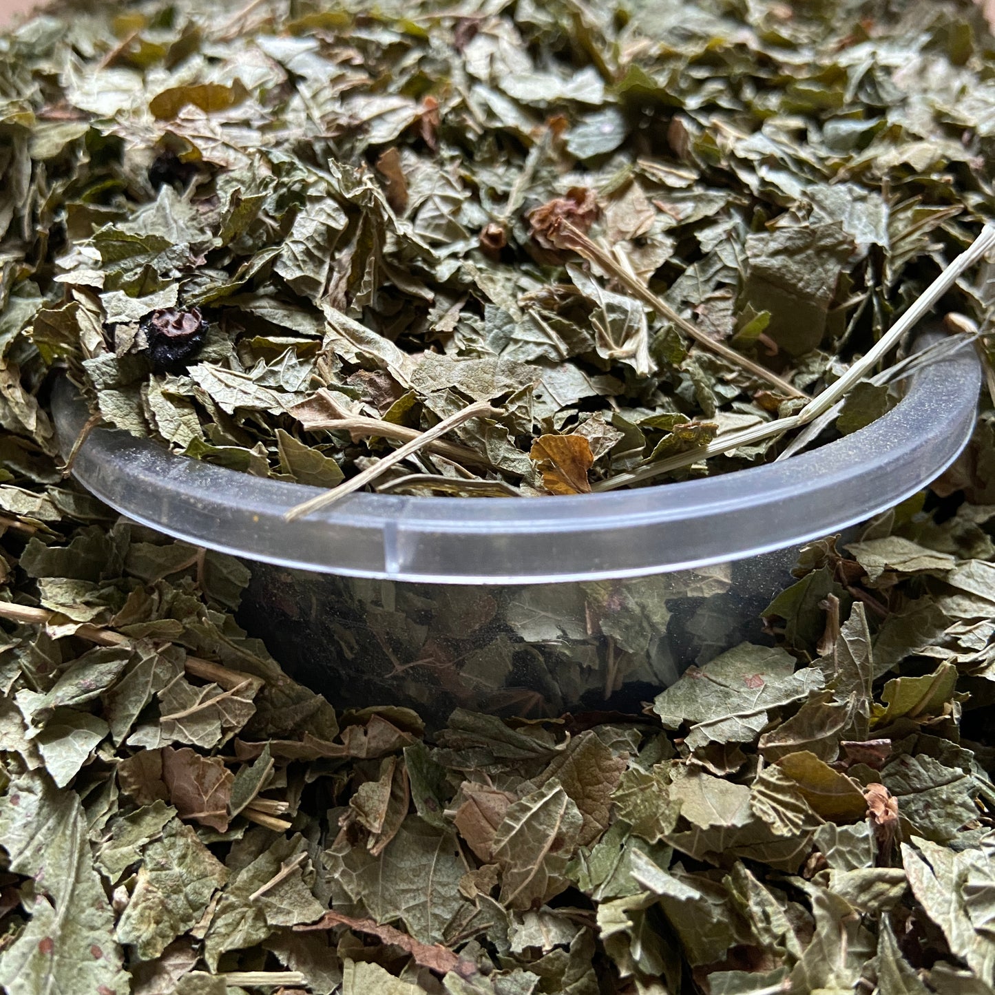 CASSIS - Articulations