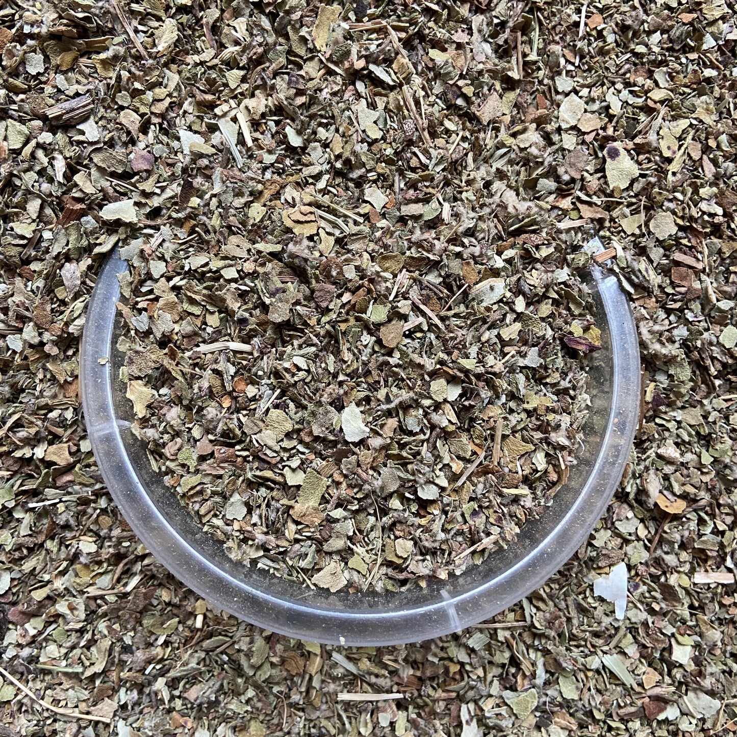 TUSSILAGE - Respiration