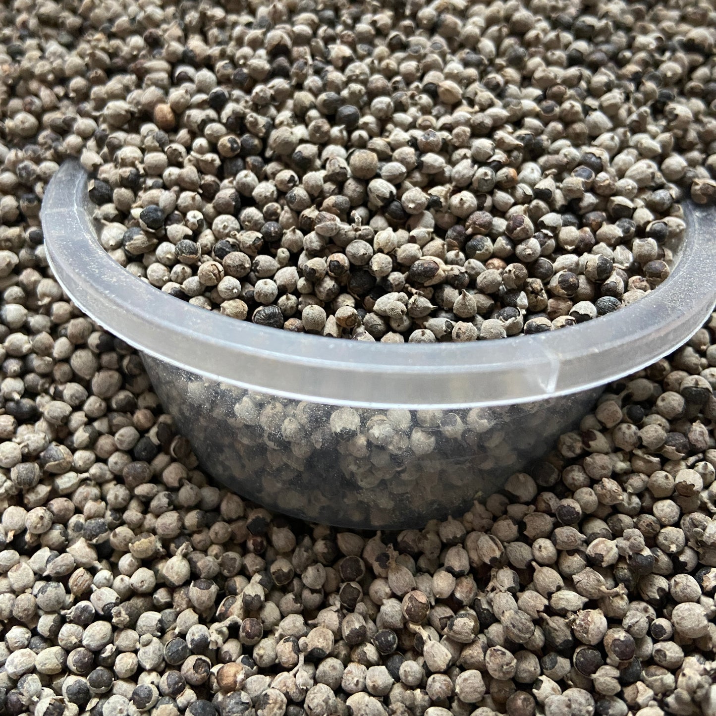 GATTILIER - Hormones