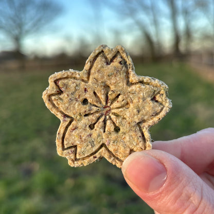 EKI'CROC | Digestion - Menthe poivrée & Graines de lin