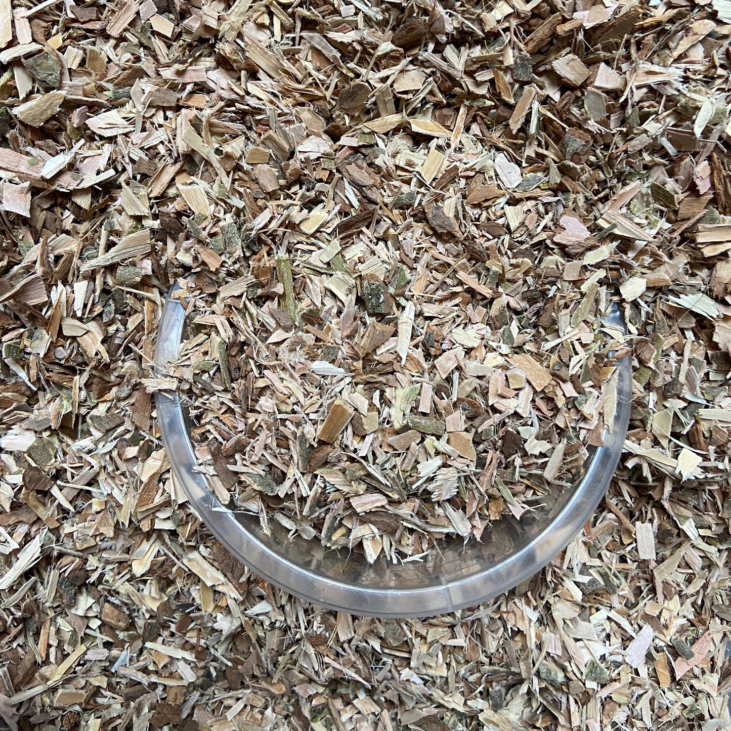 SAULE BLANC - Articulations