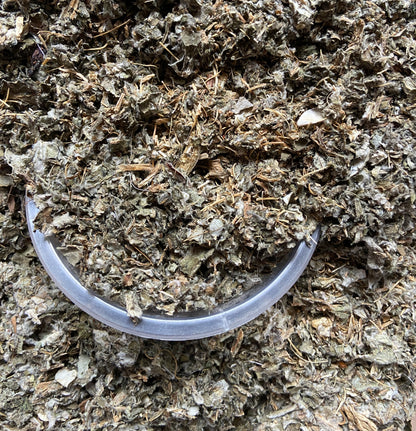 ARTICHAUT - Foie et reins