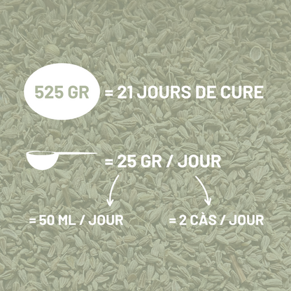 ANIS VERT - Digestion et lactation