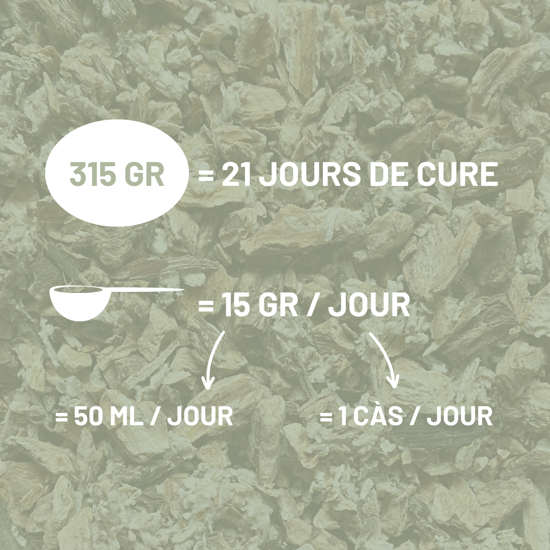 BARDANE - Démangeaisons