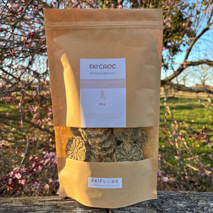 EKI'CROC | Articulations - Ortie