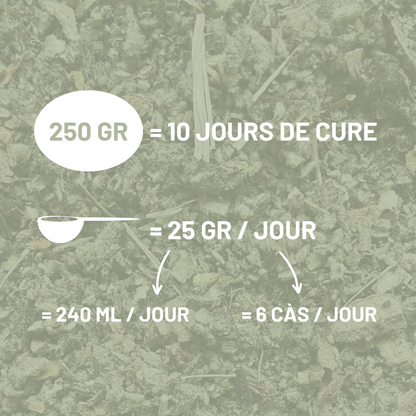 BOUILLON BLANC - Respiration