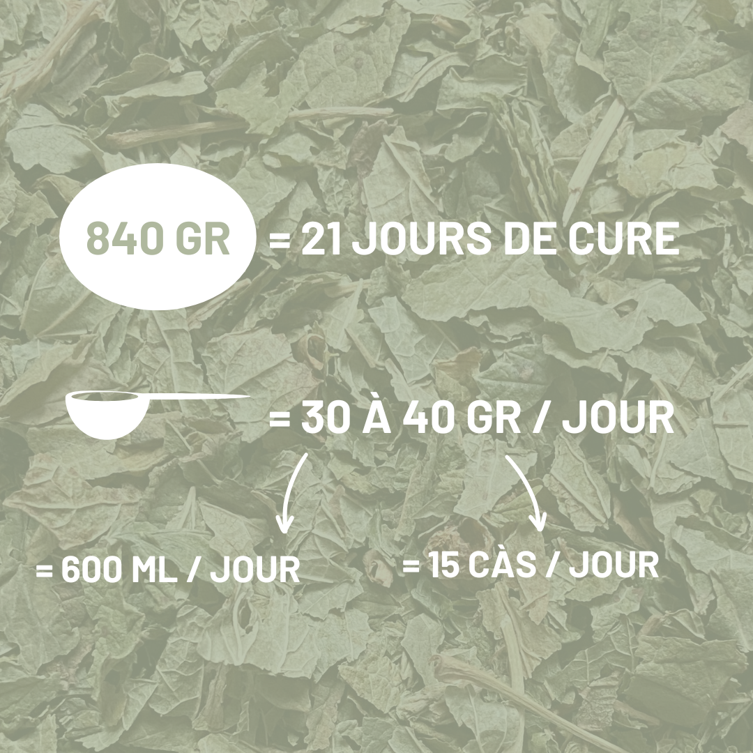 CASSIS - Articulations