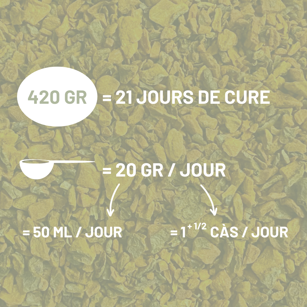 CURCUMA - Articulations et digestion
