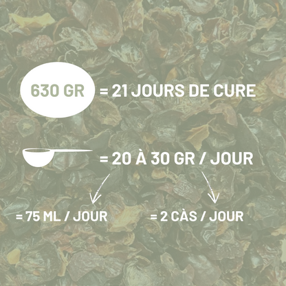 CYNORRHODON - Immunité