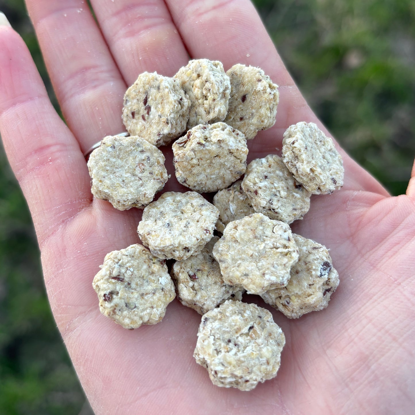 EKI'CROC | TAP - Graines de lin