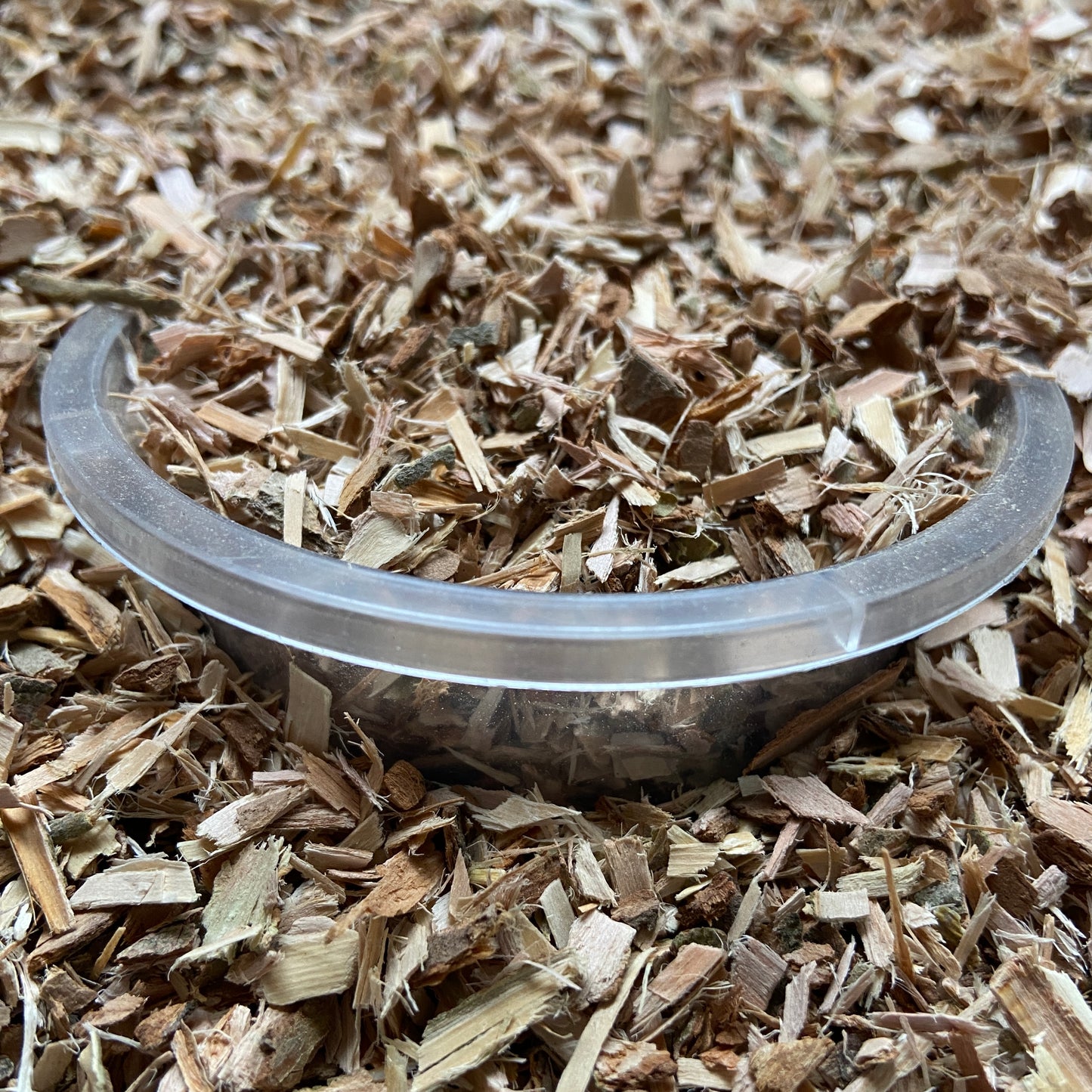 SAULE BLANC - Articulations