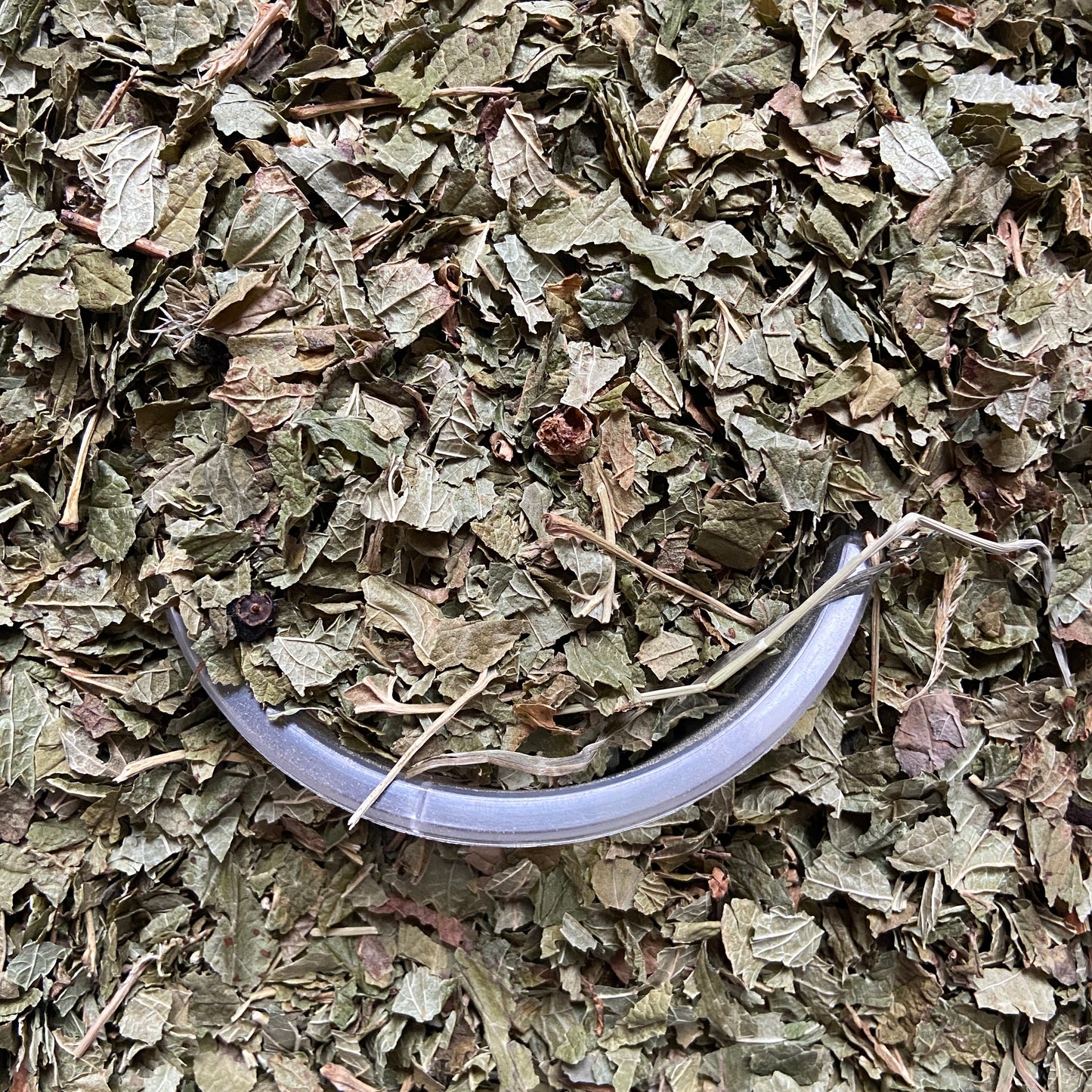 CASSIS - Articulations