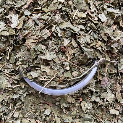 CASSIS - Articulations