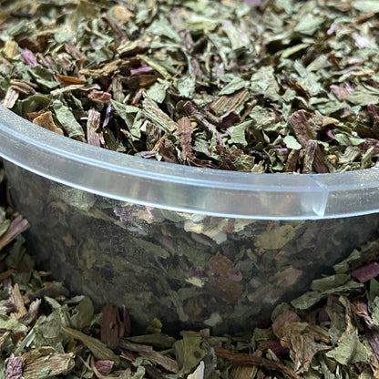 PISSENLIT - Foie et reins