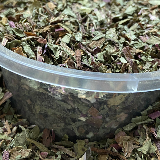 PISSENLIT - Foie et reins