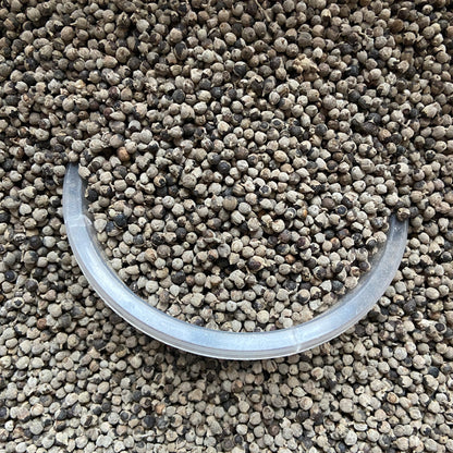 GATTILIER - Hormones