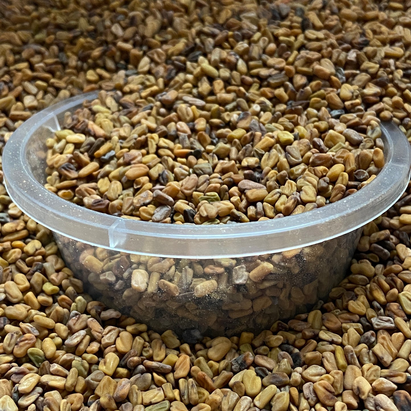 FENUGREC - Prise d'état et muscles