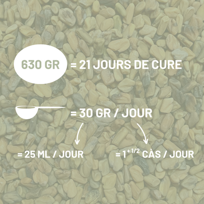 FENUGREC - Prise d'état et muscles