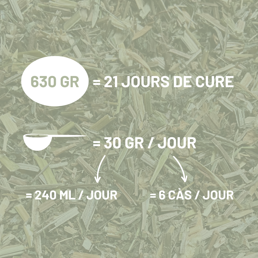 GAILLET-GRATTERON - Engorgements et démangeaisons