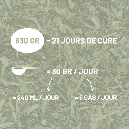 GAILLET-GRATTERON - Engorgements et démangeaisons