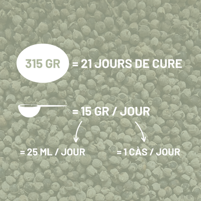 GATTILIER - Hormones