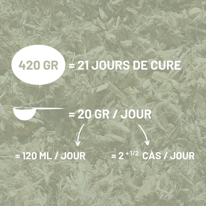 GUIMAUVE - Respiration et digestion