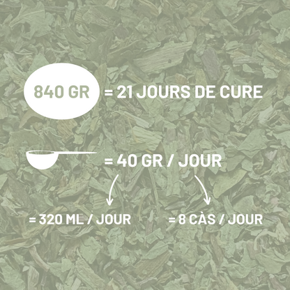 PISSENLIT - Foie et reins