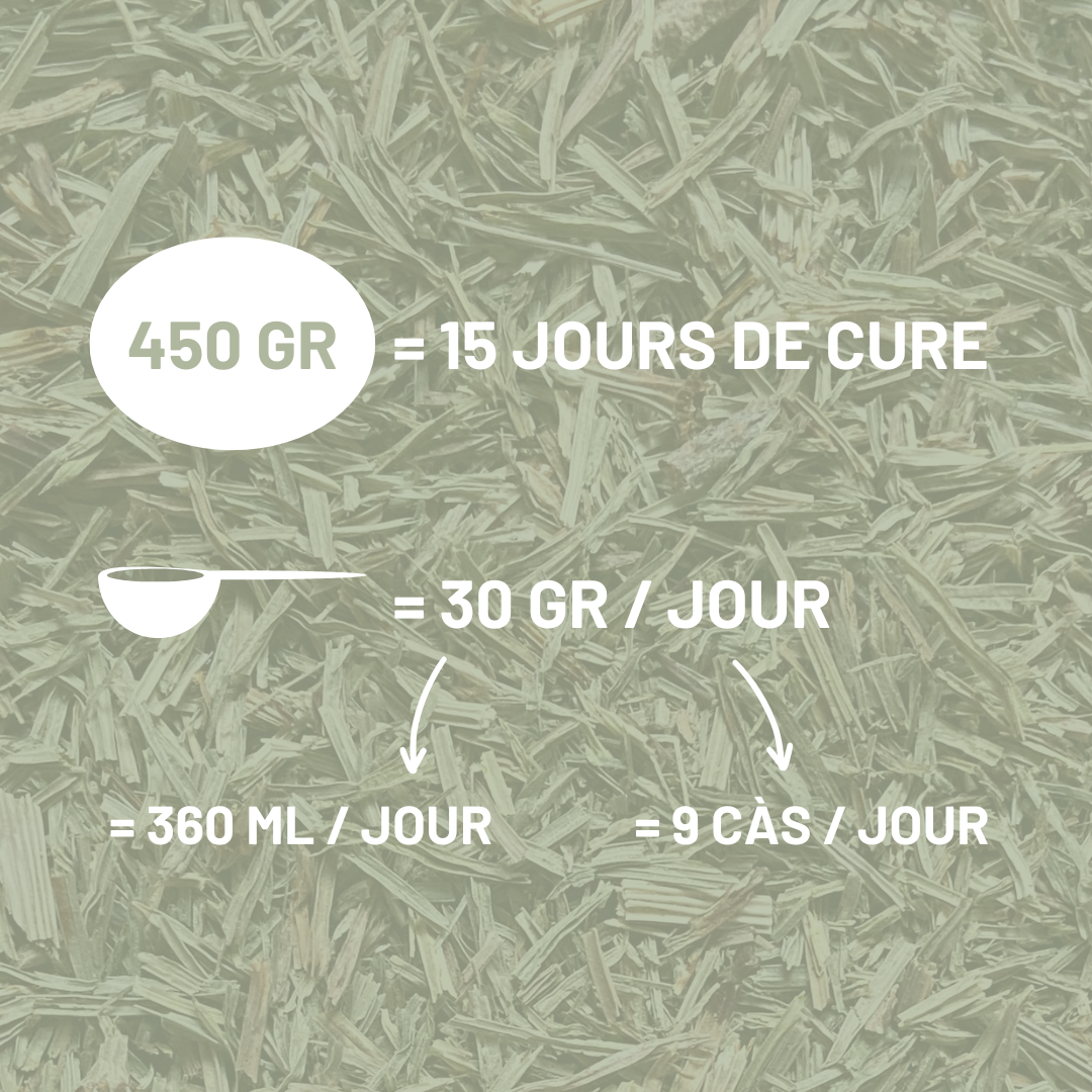 PRELE DES CHAMPS - Articulations