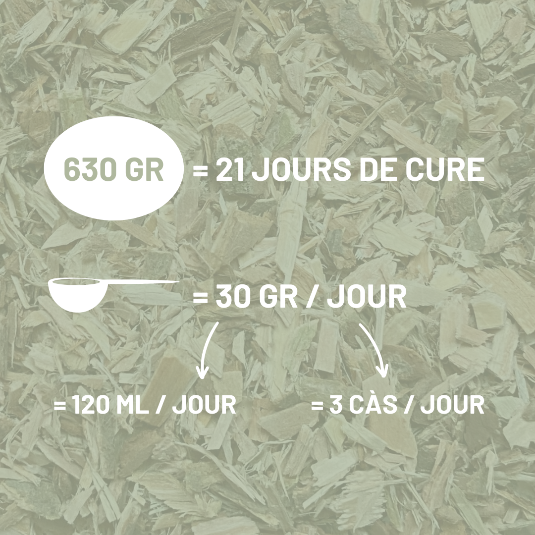 SAULE BLANC - Articulations